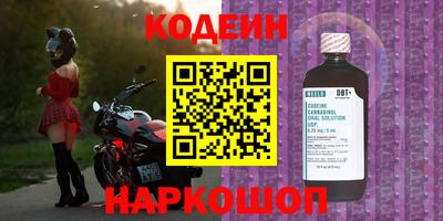 прущие грибы Нальчик