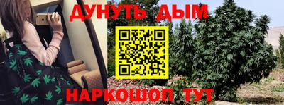 прущие грибы Нальчик