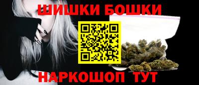 прущие грибы Нальчик