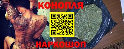 прущие грибы Нальчик