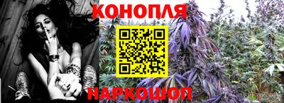 индика Наро-Фоминск